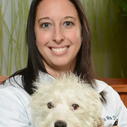 Dr. Amanda Mirabella of Naperville Animal Hospital 
